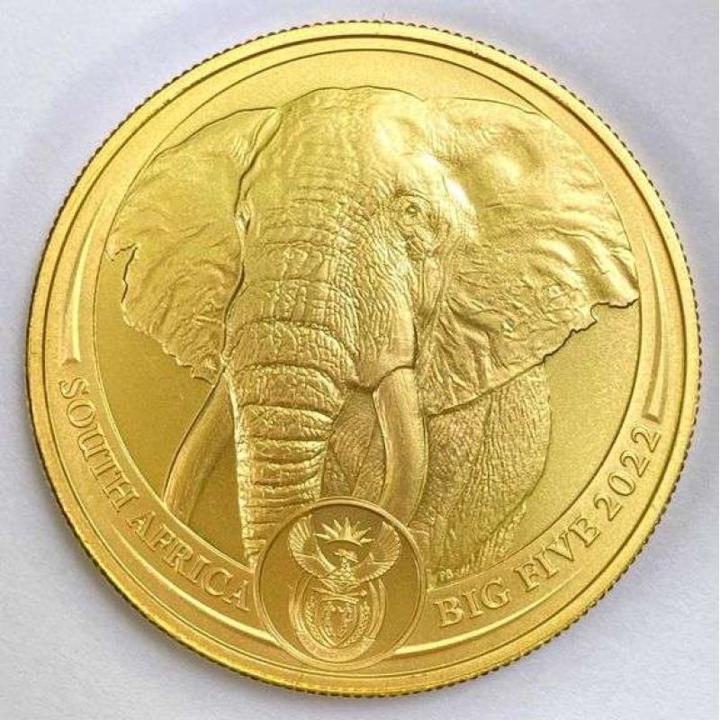 1oz gouden Zuid-Afrikaanse Big Five Elephant munten .