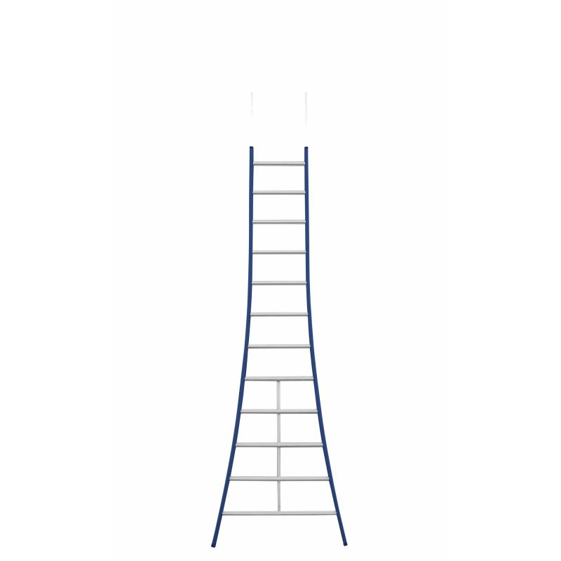 Professionele ladders