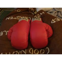 champ boksbal en everlast zakhandschoenen